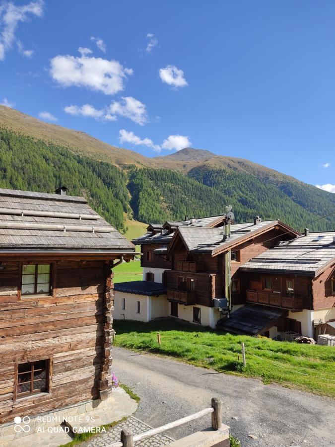 Fior D'Alpe Apartment 利维尼奥 外观 照片